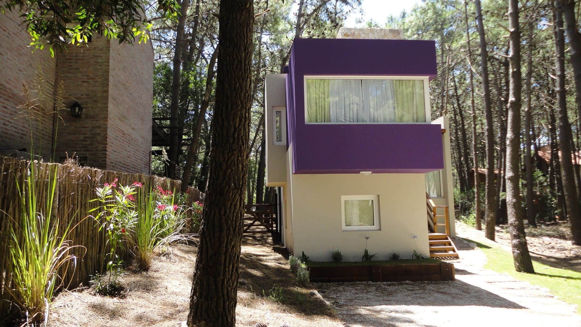 Casa Selva — Reforma Integral (Morado / Rojo) - Imagen 2